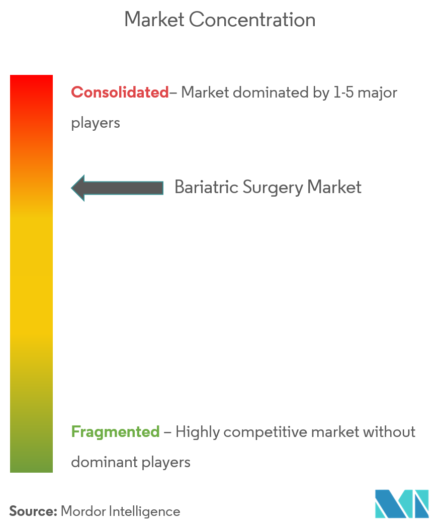 Global Bariatric Surgery Market Concentration